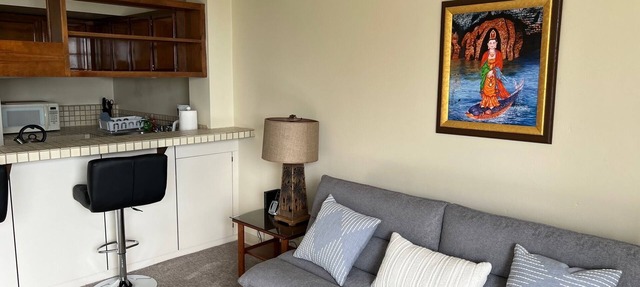 Beautiful Condo in the Heart of Hilo - Pool - A/C #718