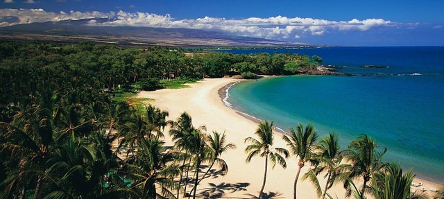 BEST PLACE TO STAY! Close to Kamuela Town and World Class Mauna Kea Beach!