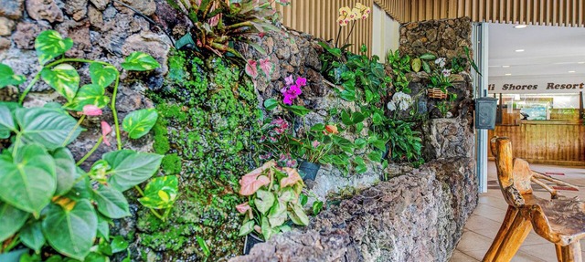 Charming condo steps to fantastic Napili Bay with cool AC breeze