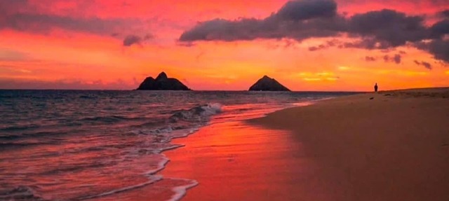 CHRISTMAS AVAILABILITY! Charming Lanikai Kailua Cottage. Custom Stay Requests.