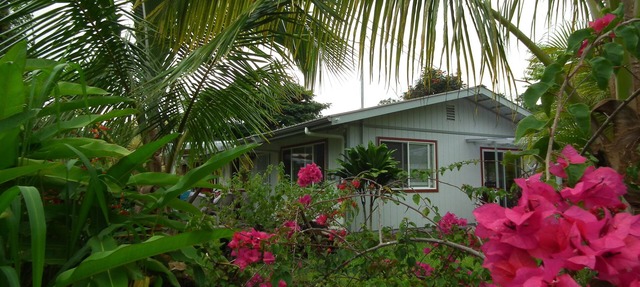 Come Relax with us in a Lush Rainforest Retreat.