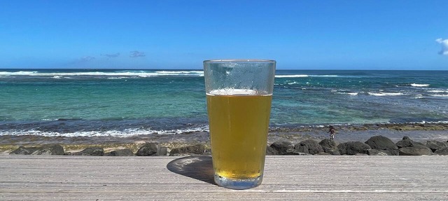 Cozy 1-bedroom condo with AC in serene Kapaʻa sleeps 4