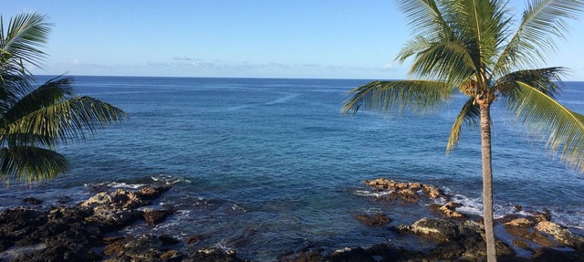 D35 Kona Reef - True Oceanfront & Top Floor! AC throughout!
