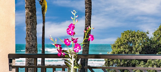 FALL REDUCED! Villa 202-203 OceanView Turtle Bay