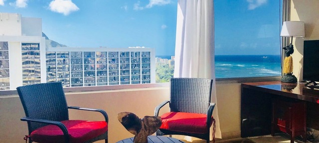 Foster Twr 2504A NEW REMODEL 1 BR/1BA 25th FLOOR Panoramic View Ocean & Mountain