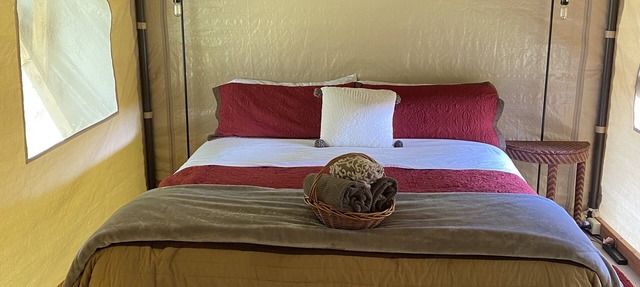 Glamping in Volcano