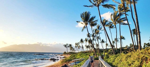 Grand Champions | Ocean View 5 BR, Sleeps 14 | Car Incl. w/6+ Nights | GCH ML-3786 by KBM