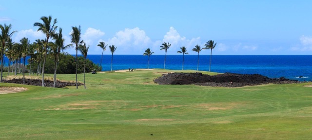 Halii Kai | Ocean View 5 BR, Sleeps 14 | Car Incl. w/6+ Nights | HLI ML-1293 by KBM