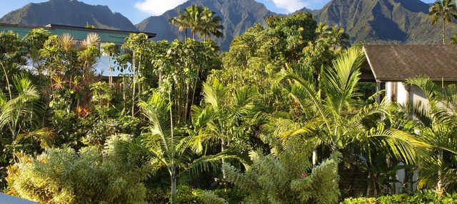 Hanalei Makai Hale, Steps to beautiful Hanalei Beach & Short Walk to Town!