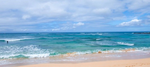 Hawaiian Palm Estate (2 units) - Beach front, Lg yard