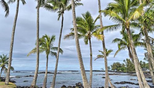 Hilo Oasis - 32 Mi to Volcanoes National Park