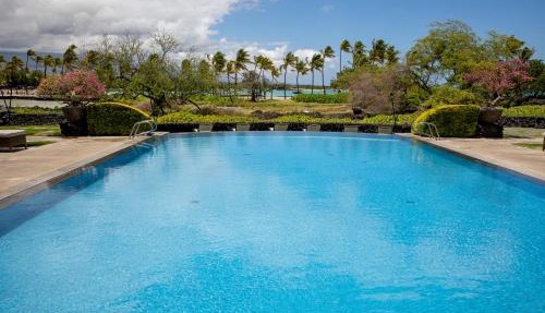 Hilton Pool Pass Included, Kolea - Stylish & Comfy Walk to Beach Patio Pool Gym