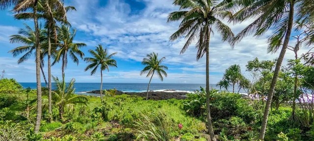 Historic Hilo Home with AC & Lush Tropical Gardens