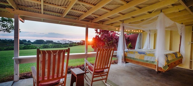 Hulili Tropical Fruit Farm- With over 200 five star reviews!