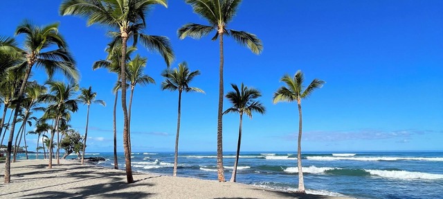 Iconic Hawaiian Getaway at Mauna Lani. Beach, Bike, Golf, Books, Relax.