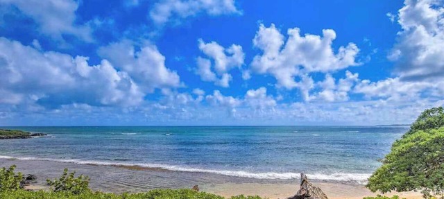 Kapa'a Sands Condo | Oceanfront Views