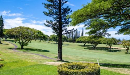 Kapalua Golf Villas 6 FREE Rental Cars KBM Resorts Large Bedrooms 6 Units 11 Bedrooms ML-2354