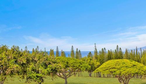 Kapalua Golf Villas 6 FREE Rental Cars KBM Resorts Large Bedrooms 6 Units 8 Bedrooms ML-2363