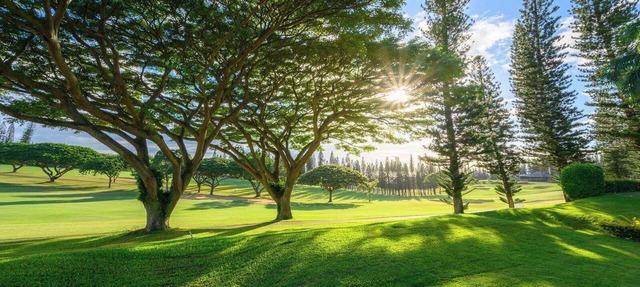 Kapalua Golf Villas | Golf View 2 BR, Sleeps 6 | Car Incl. w/6+ Nights | KGV-14P6 by KBM