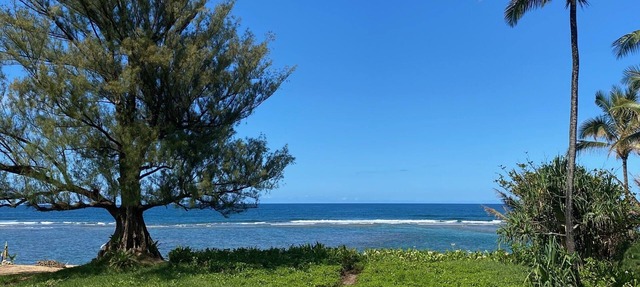 Kauai North Shore Oceanfront - Mountain View Beachouse TVNC#1136 Tsunami Zone