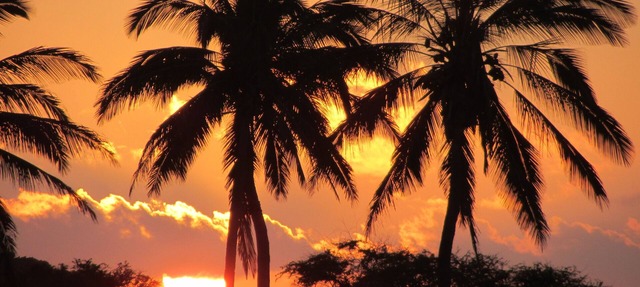 Kepuhi Beach Resort #2202-Paradise Found