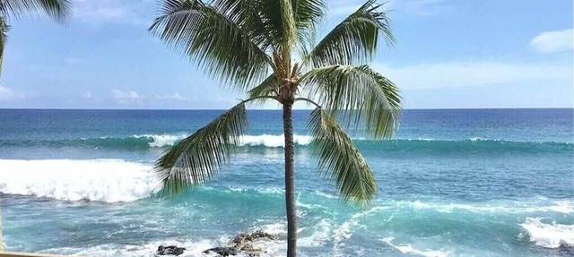 Kona Reef D24 - Direct Ocean Front Condo - Private Lanai - Next to Honl's Beach!
