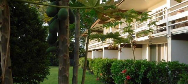Kona White Sands A4 Romantic Ocean View!