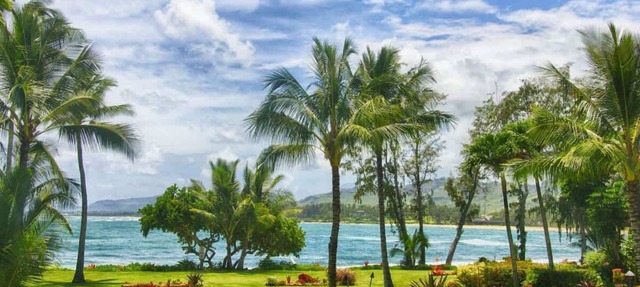 Lae Nani 328. Great view from this Kauai Condo.