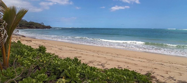 Laie Beachfront - Spacious yard, Steps to the beach