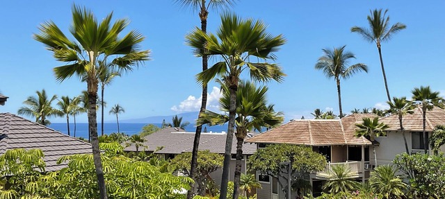 Large Charming Ocean View studio in terrific Wailea with WiFi, AC