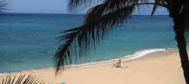 LEGAL BEACHFRONT CONDO-GREAT VIEWS!-FREE PKG/WIFI, POOL,HOT TUB,TENNIS/PICKLE 6