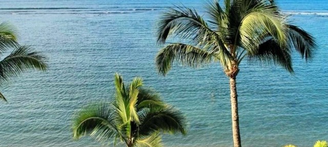 Legal STR Hotel Zoned Lahaina Shores Beachfront Ocean Views Oasis