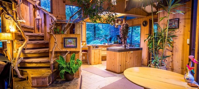 Live among the trees In this real-life treehouse!