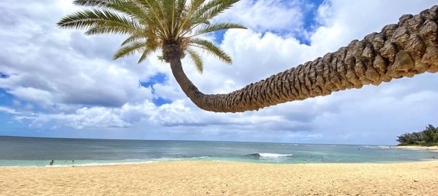 Makana Dream - Beachfront