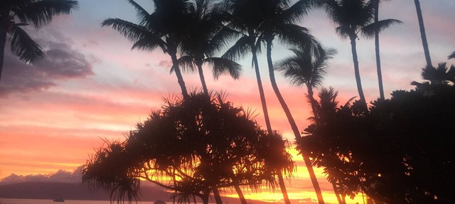 Maui, Lahaina Shores Resort; Studio+AC, Oceanfront property.