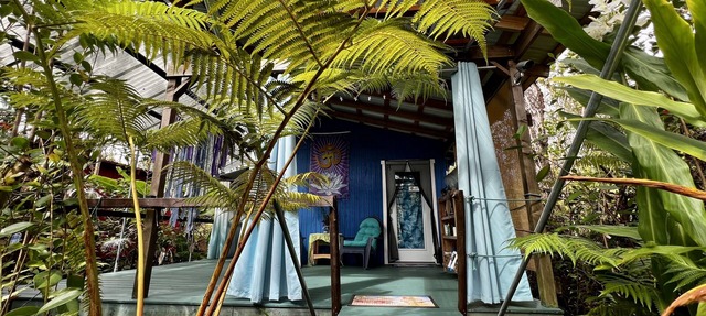 Mermaid Lair with Rainforest Shower!