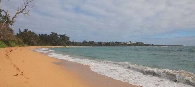 🌸Moku Paradise🌸 - Beach | PCC