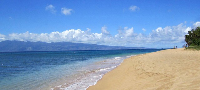 Now booking A-200 Kaanapali the World's Best Beaches & with Amazing Views & A/C.