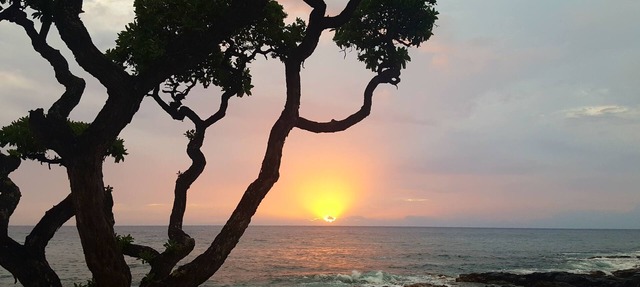 OCEAN VIEW from sofa & Lanai Oceanfront Complex close to town, dining & shopping