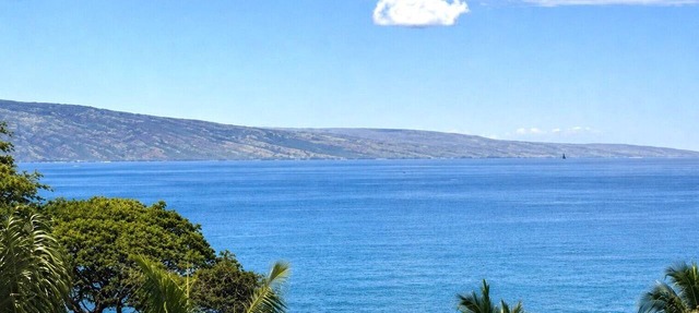Ocean View, Fully Remodeled, New AC, Walk to Beach