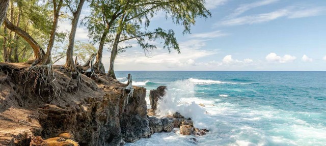 Oceanfront Getaway w/A/C in Gated Hamakua Coast