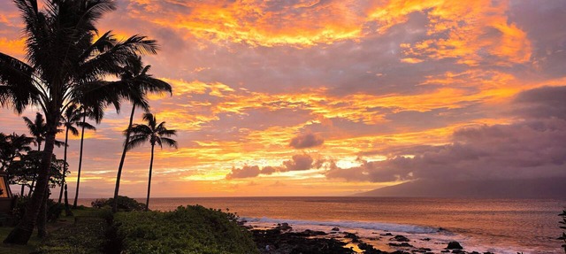 Oceanfront Napili Bay + Free Parking + Ground Floor
