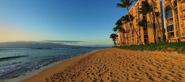 Oceanfront Suite w/Floor to Ceiling Windows, Lanai, Free WiFi & Free Parking