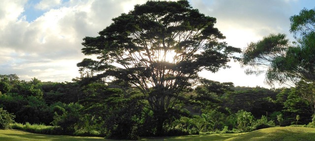 Peaceful Haiku Retreat Beach 10 Min & Paia 15 Min