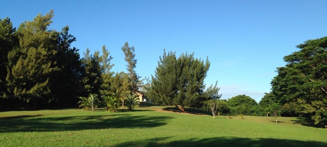 Peaceful Haiku Retreat Beach 10 Min & Paia 15 Min