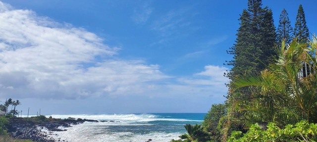 Poipu Kauai Honeymoon: View Sea Turtles From Your Oceanfront Deck-AC