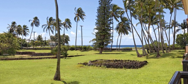 Prince Kuhio 113, just yards to the beach