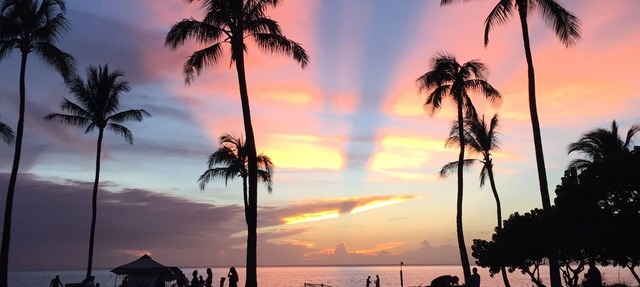 Private 2B cottage, walk to Kahekili bch!