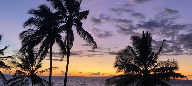 Private Oceanfront Makena Retreat for 2, Maui County Permitted Short-Term Rental