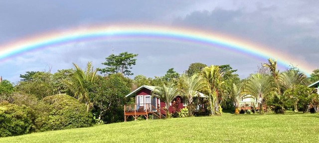 Puna Rainforest Retreat Hotspring - Purple Passion Cottage
